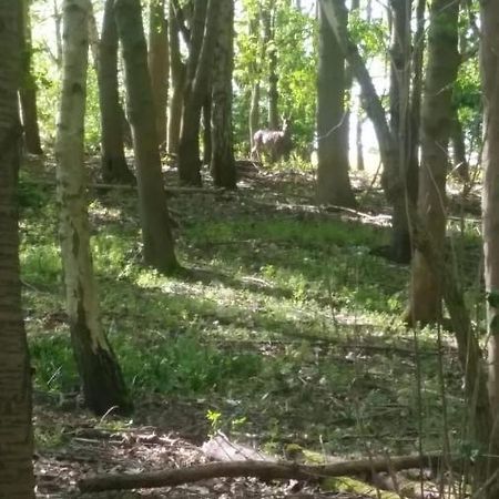 Westhurst Park Bnb Bredon Екстер'єр фото